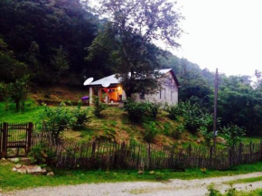 Guest House Nina, Osurgeti